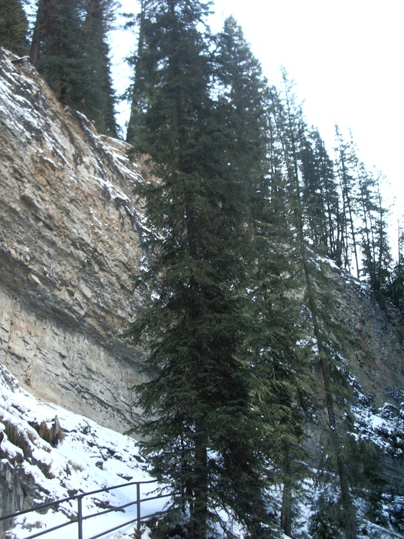 2006-01-04 - Banff Trip - 05.JPG